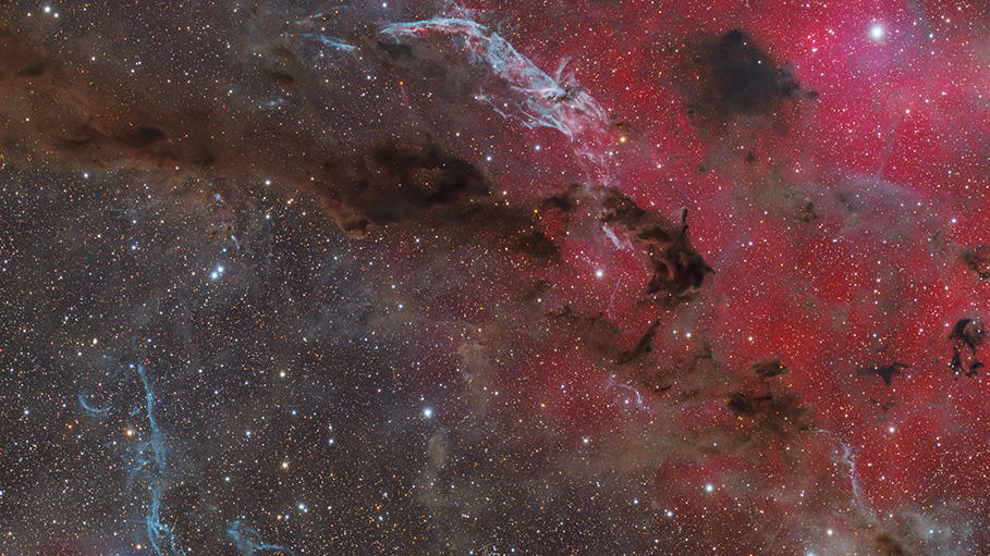 Barnard 11