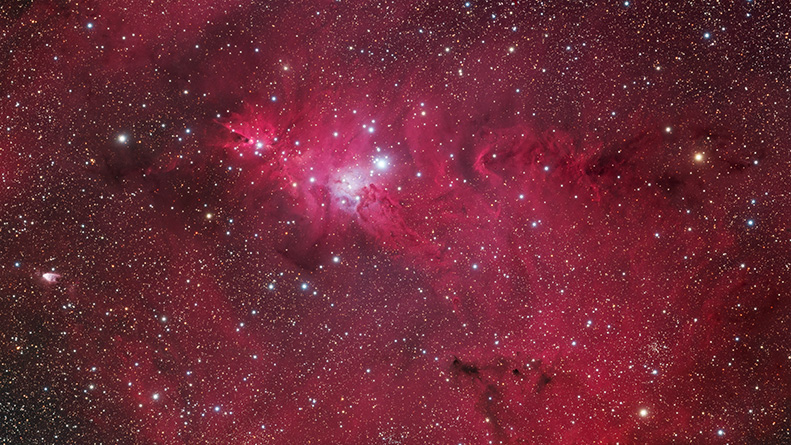 Christmas Tree Cluster