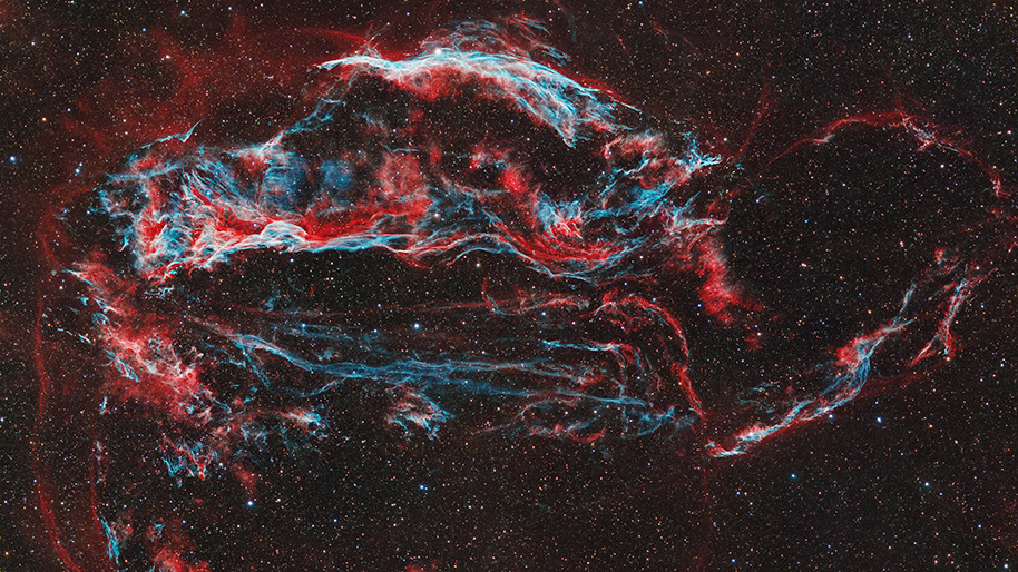 The Cygnus Loop